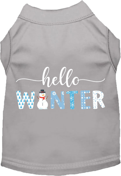 Hello Winter Pet Shirt