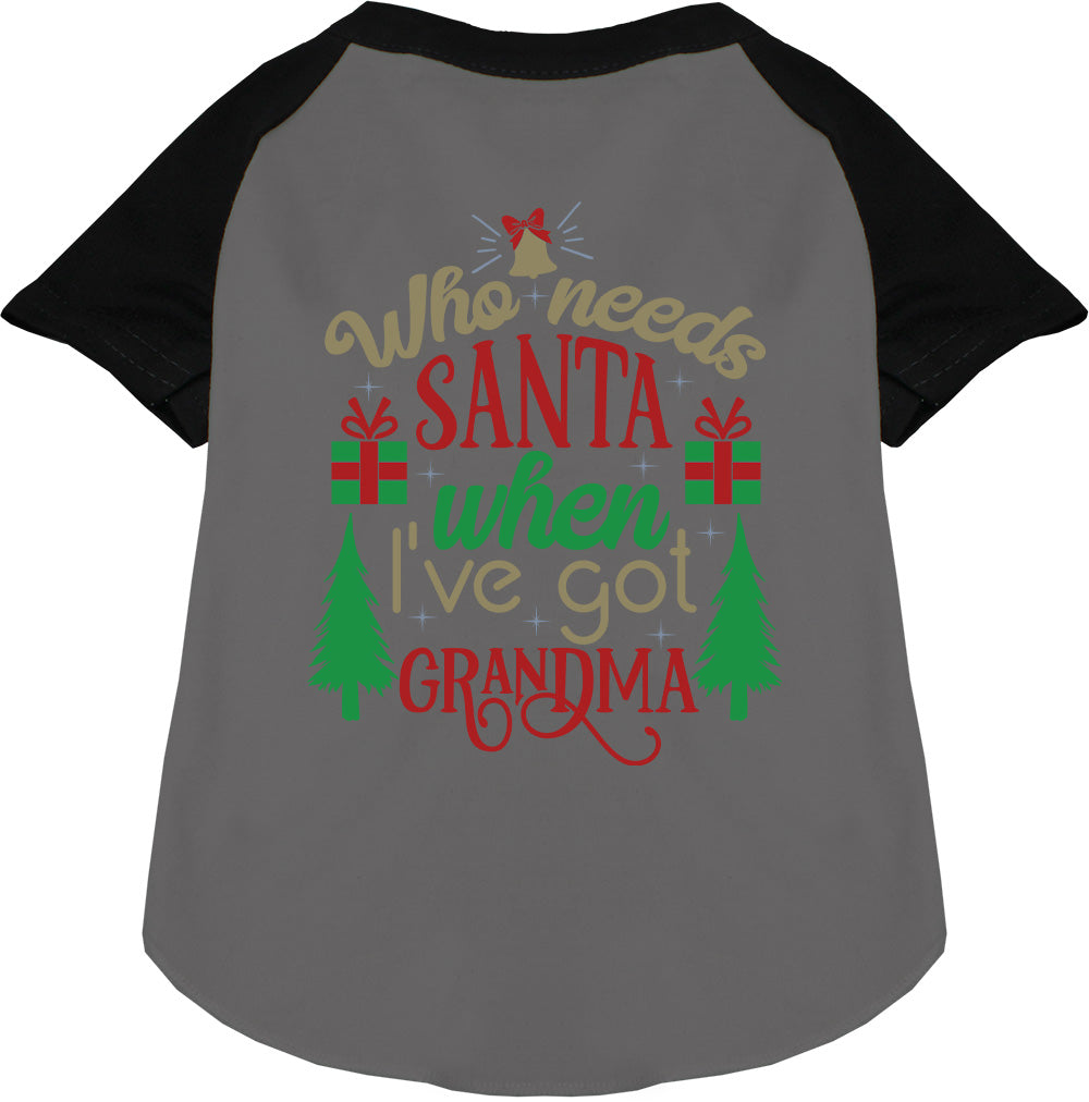 I've Got Grandma! Pet Raglan Shirt