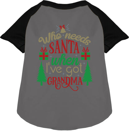 I've Got Grandma! Pet Raglan Shirt