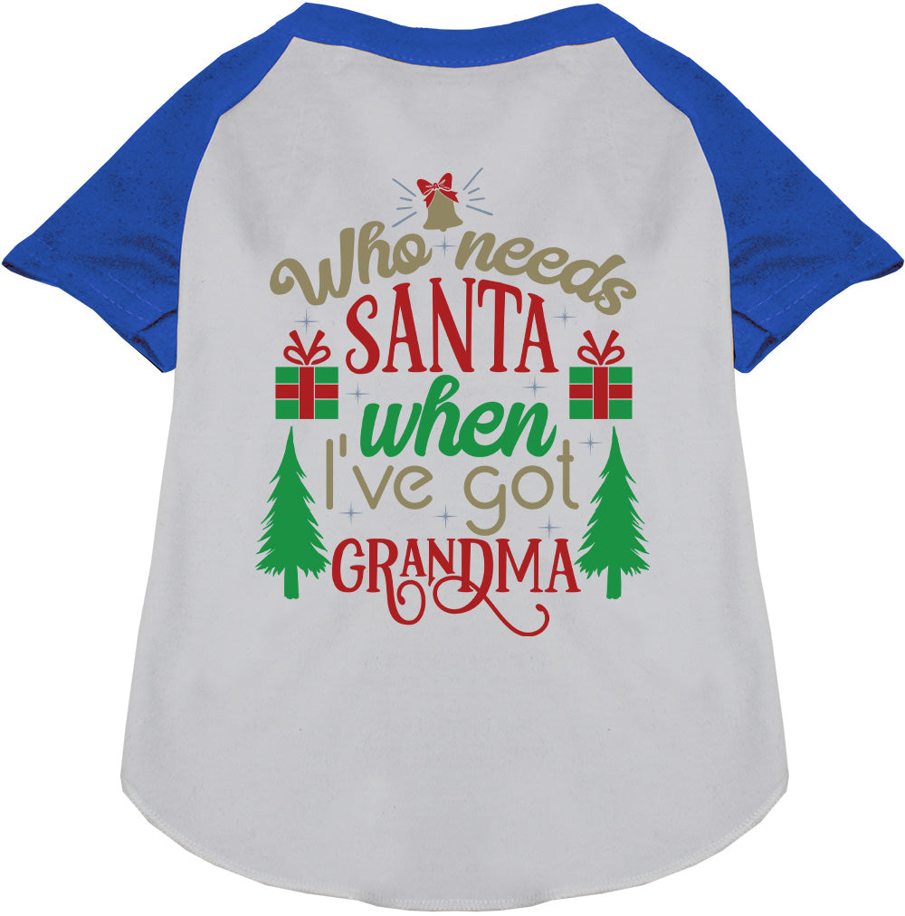 I've Got Grandma! Pet Raglan Shirt