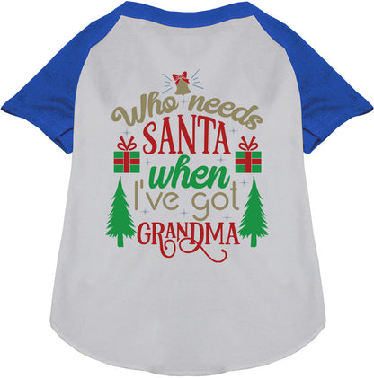I've Got Grandma! Pet Raglan Shirt