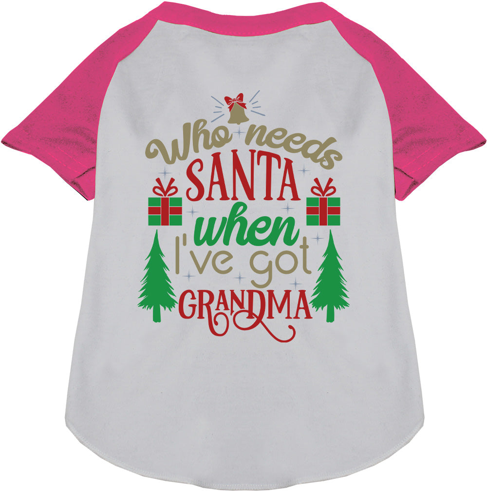 I've Got Grandma! Pet Raglan Shirt