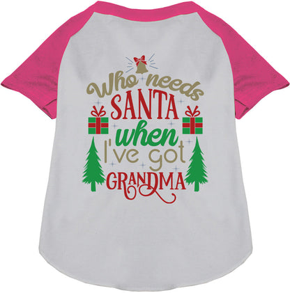 I've Got Grandma! Pet Raglan Shirt