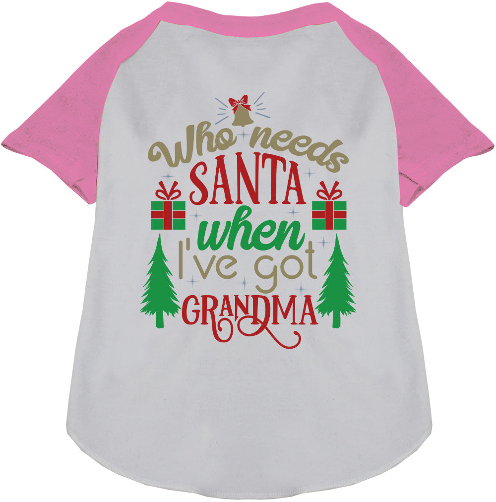 I've Got Grandma! Pet Raglan Shirt