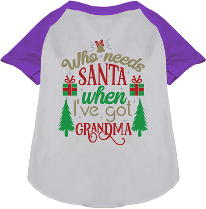 I've Got Grandma! Pet Raglan Shirt