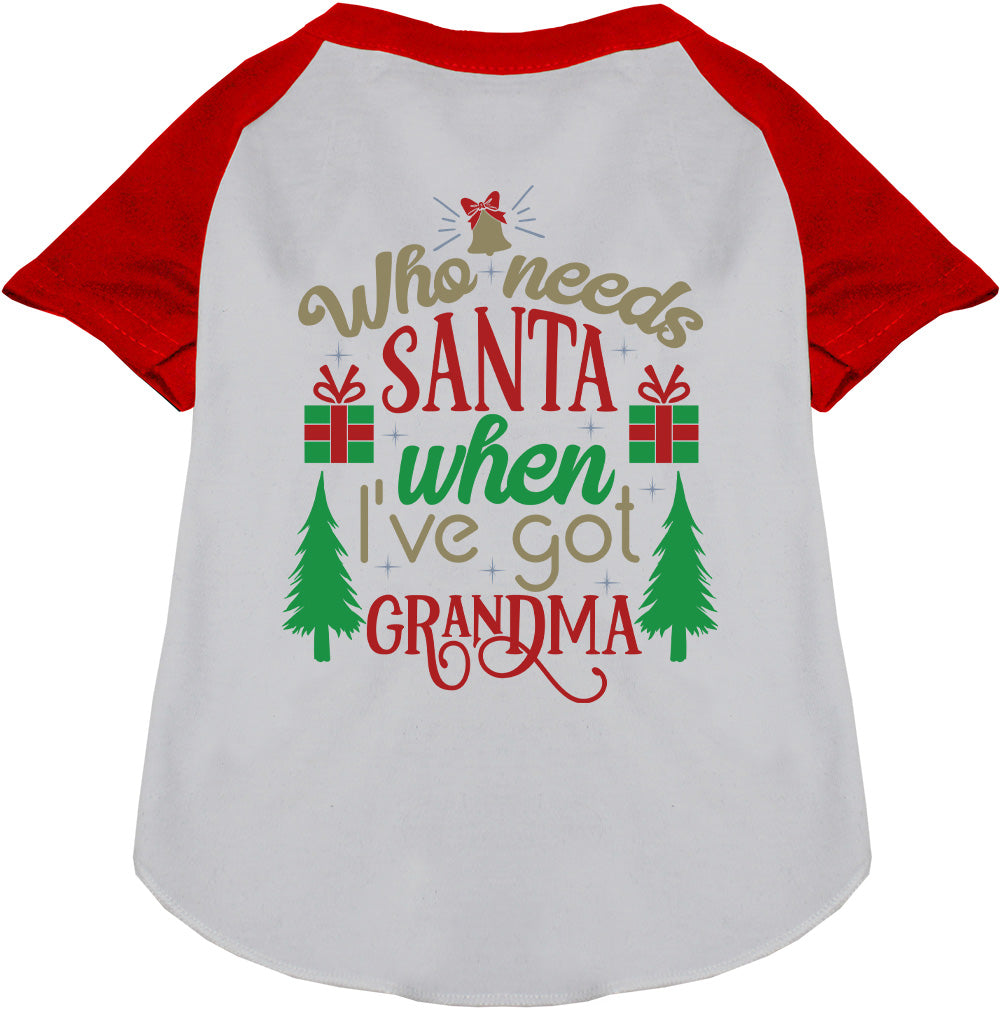 I've Got Grandma! Pet Raglan Shirt