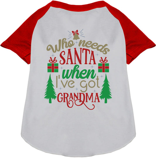 I've Got Grandma! Pet Raglan Shirt