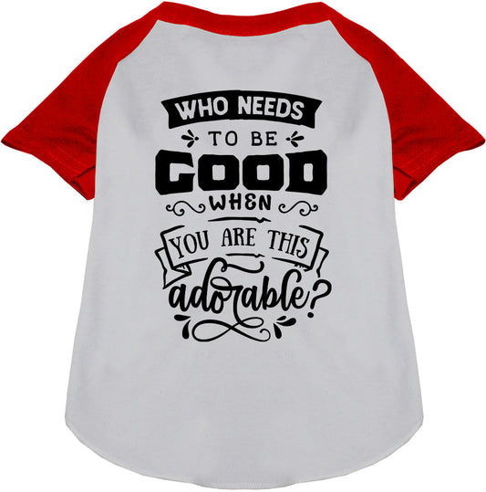Who Needs to be Good? Pet Raglan Shirt