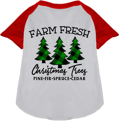 Farm Fresh Christmas Trees Pet Raglan Shirt