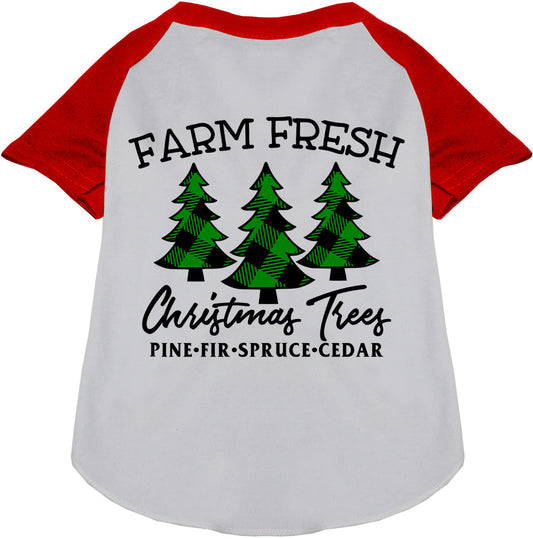 Farm Fresh Christmas Trees Pet Raglan Shirt