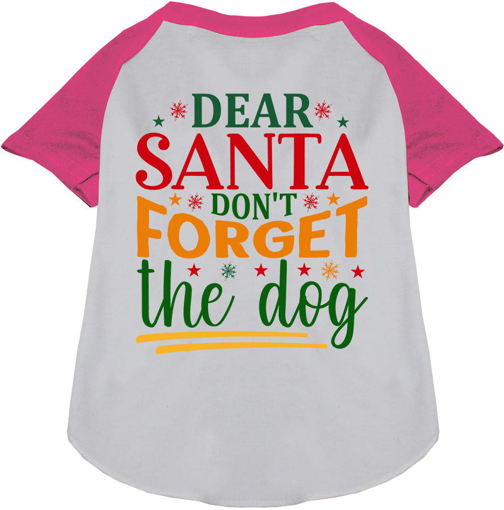 Don't Forget the Dog! Pet Raglan Shirt