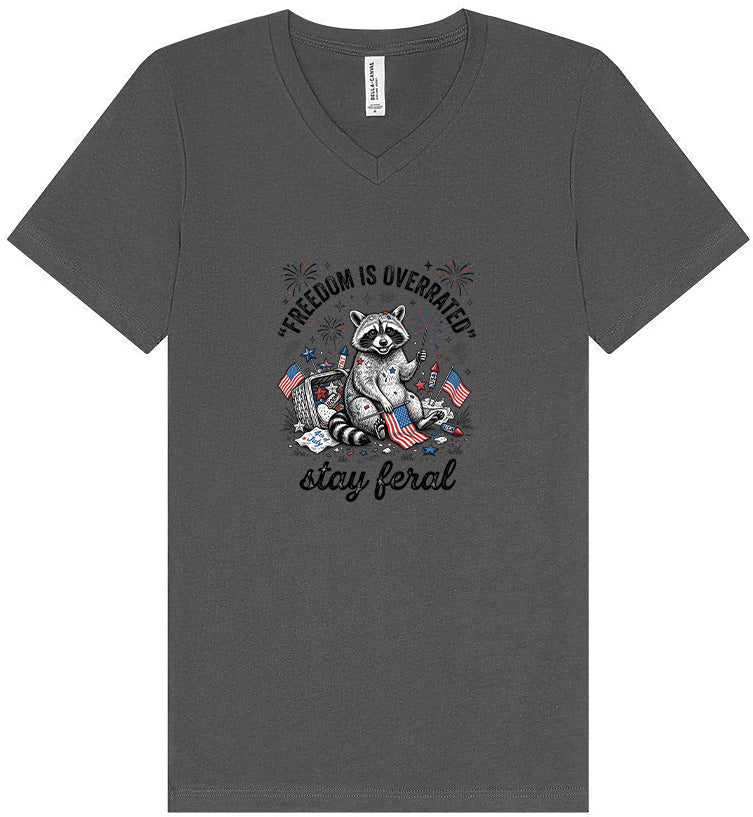 Freedom is Overrated Unisex V-Neck Shirt