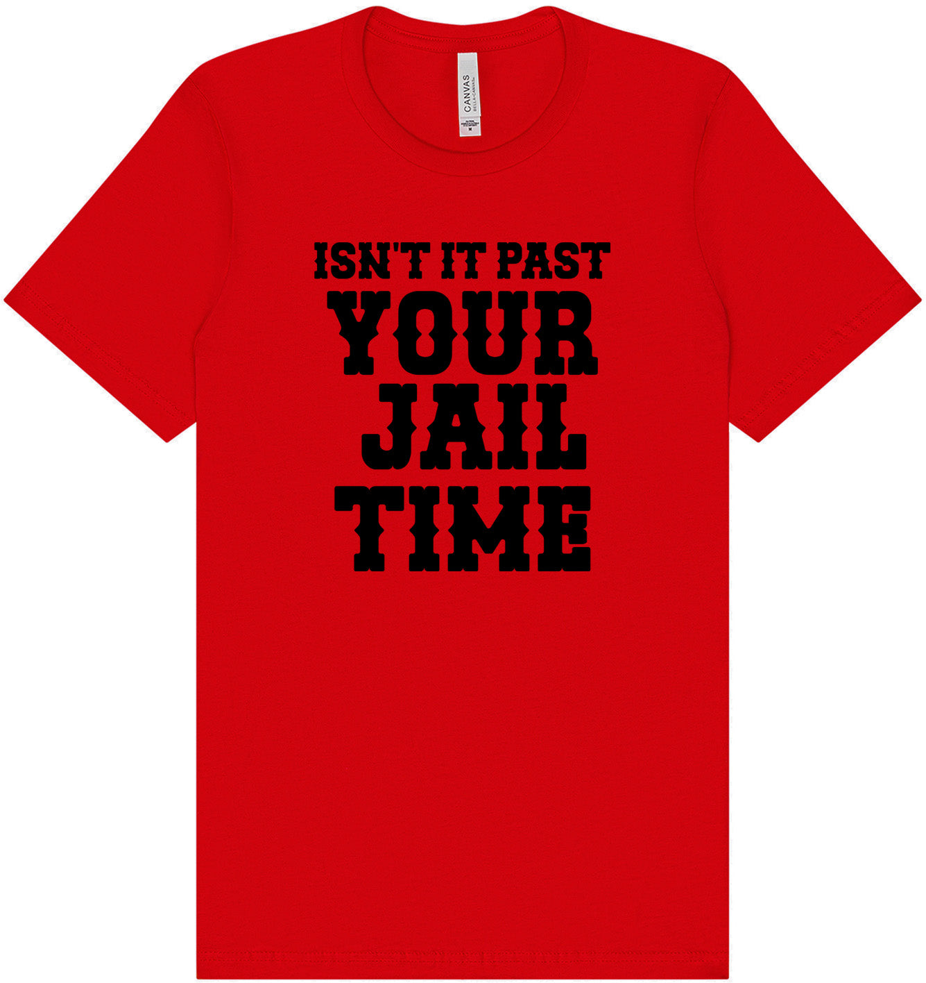 Past Your Jail Time Adult Bella Canvas Shirt