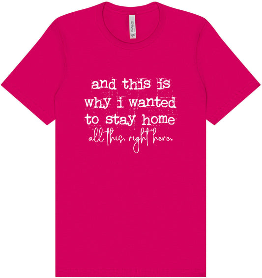 This is Why I Wanted to Stay Home Adult Bella Canvas Shirt