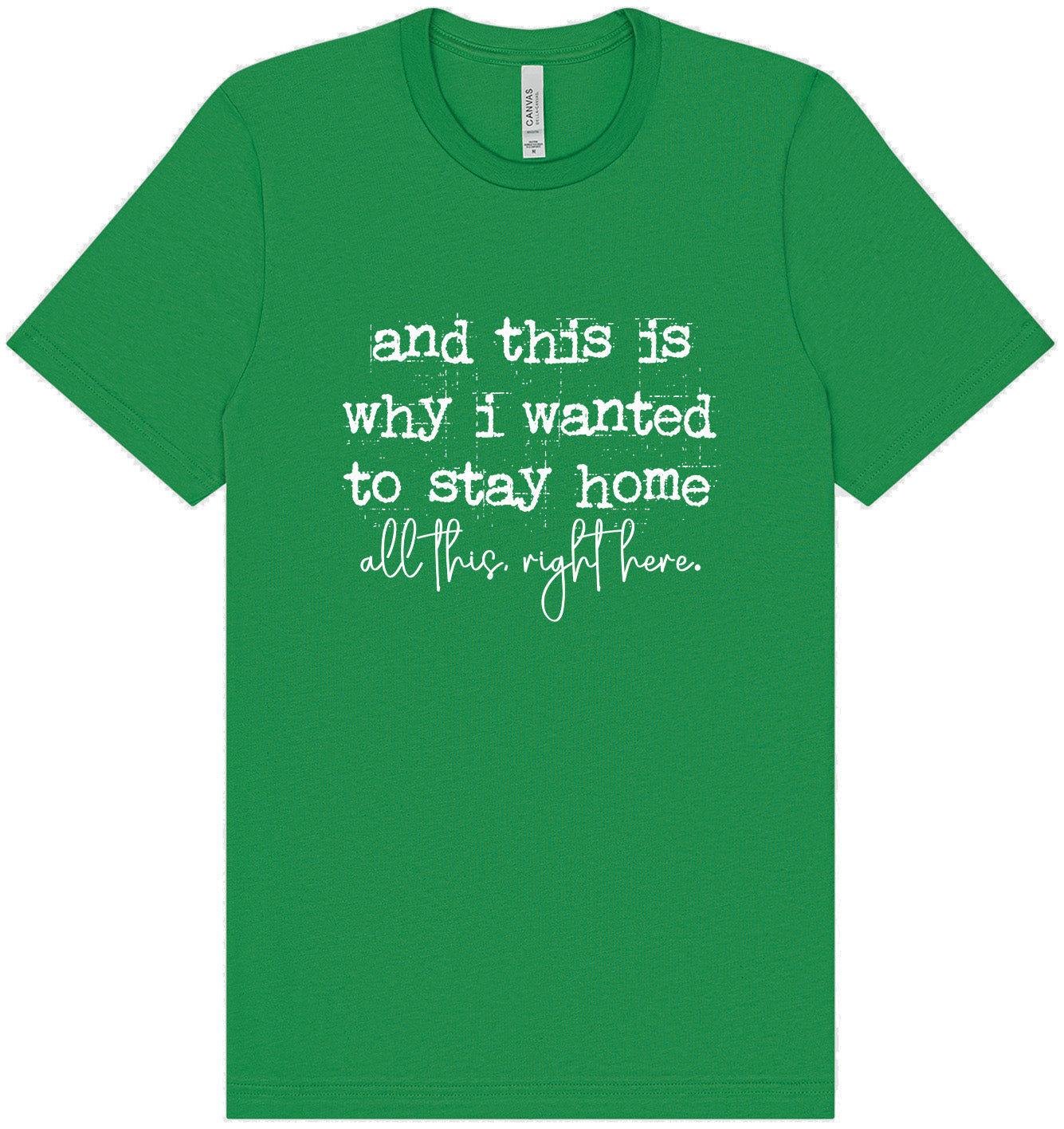 This is Why I Wanted to Stay Home Adult Bella Canvas Shirt