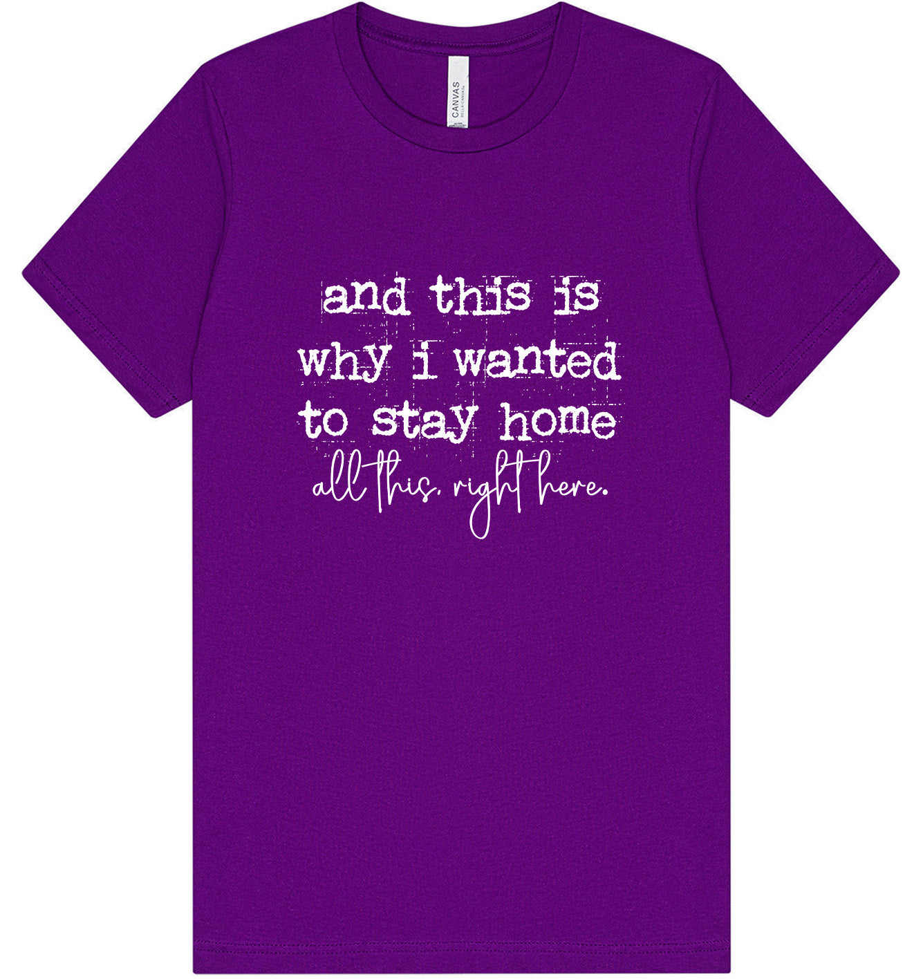 This is Why I Wanted to Stay Home Adult Bella Canvas Shirt