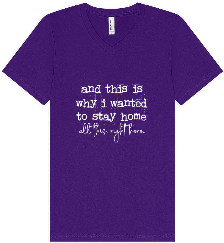 This is Why I Wanted to Stay Home Unisex V-Neck Shirt