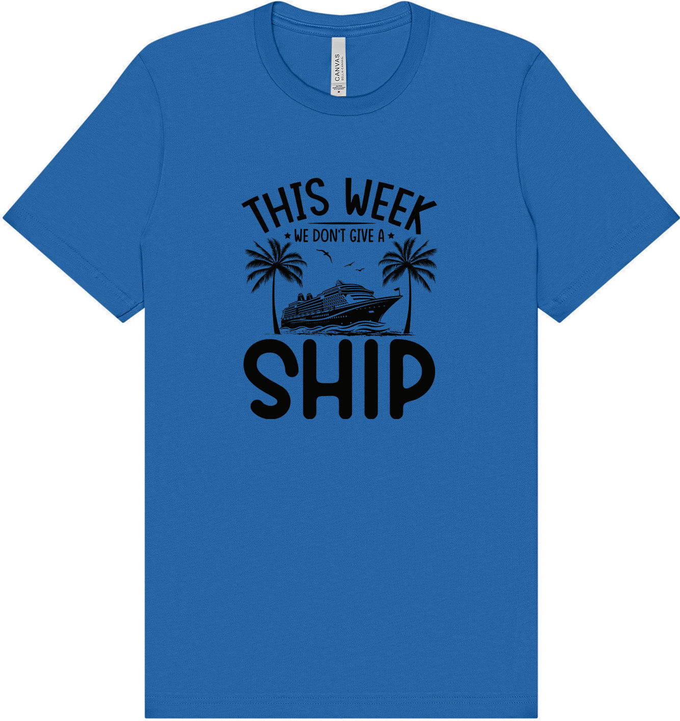 We Don't Give a Ship Adult Bella Canvas Shirt