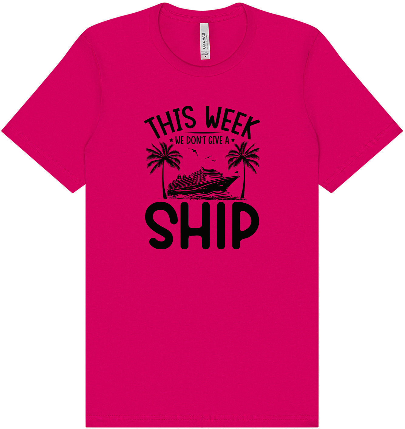 We Don't Give a Ship Adult Bella Canvas Shirt