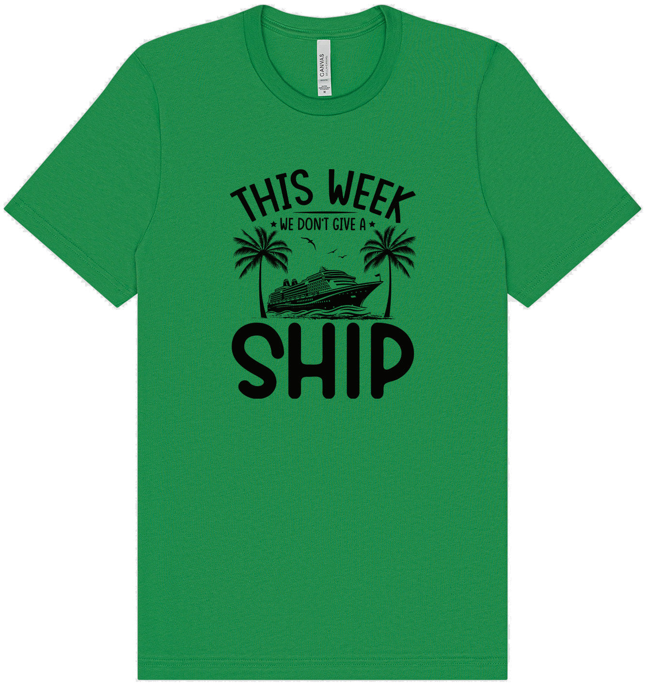 We Don't Give a Ship Adult Bella Canvas Shirt