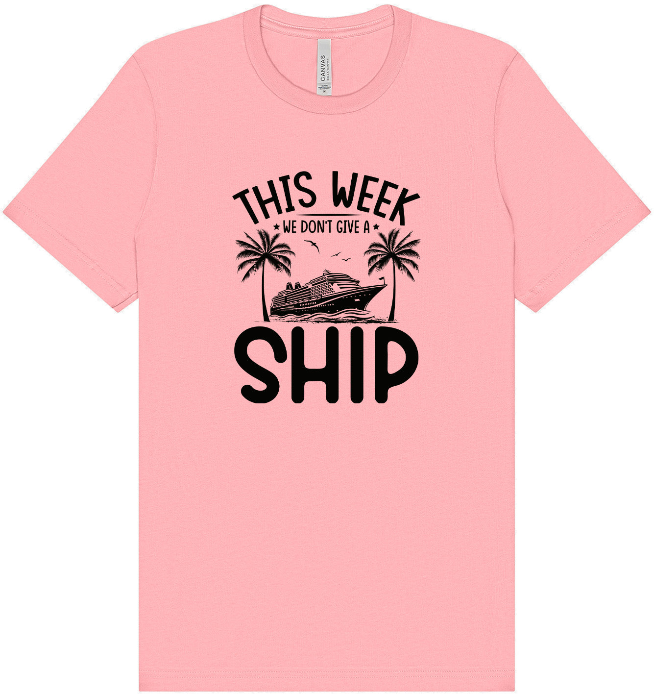 We Don't Give a Ship Adult Bella Canvas Shirt