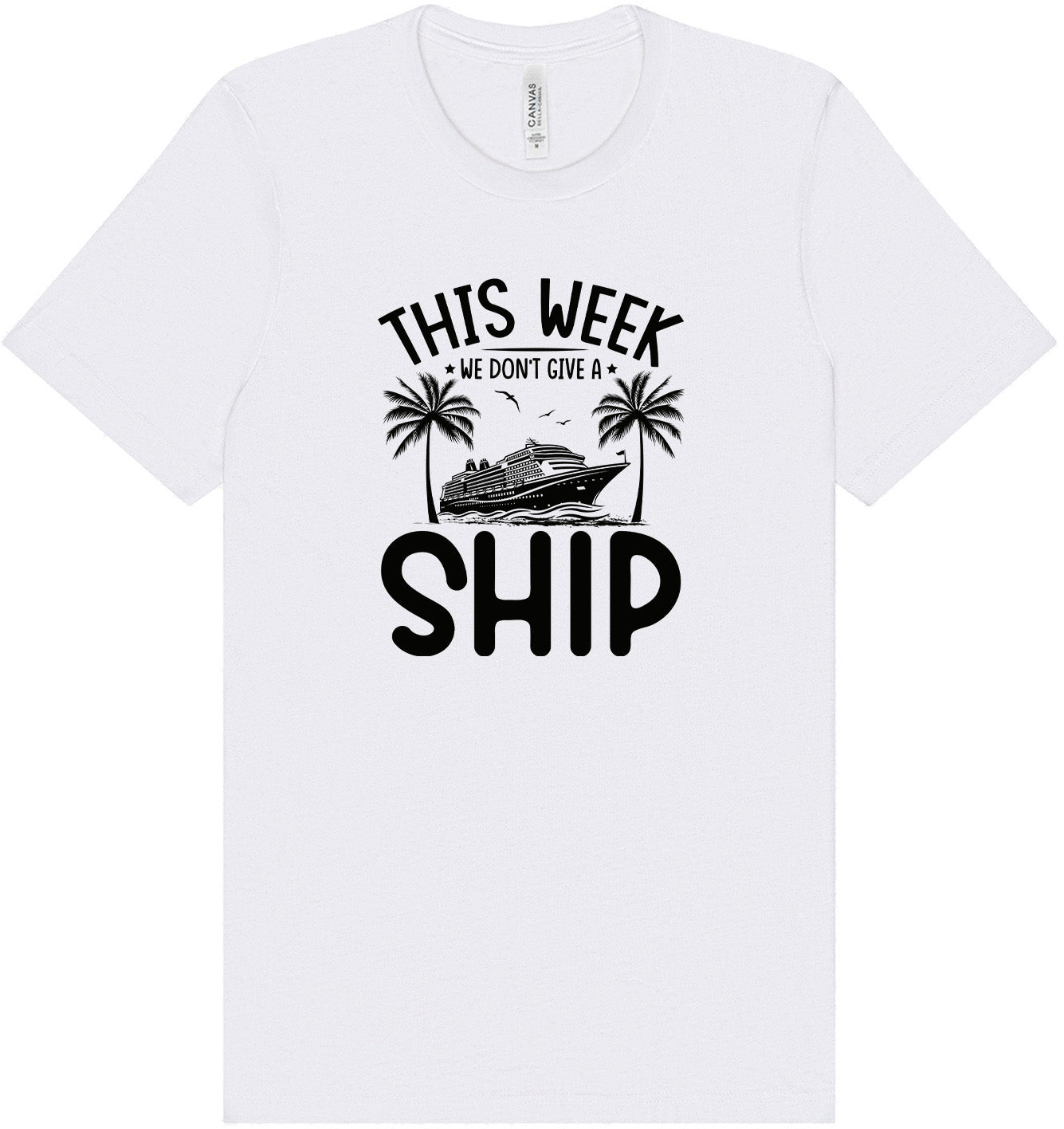 We Don't Give a Ship Adult Bella Canvas Shirt