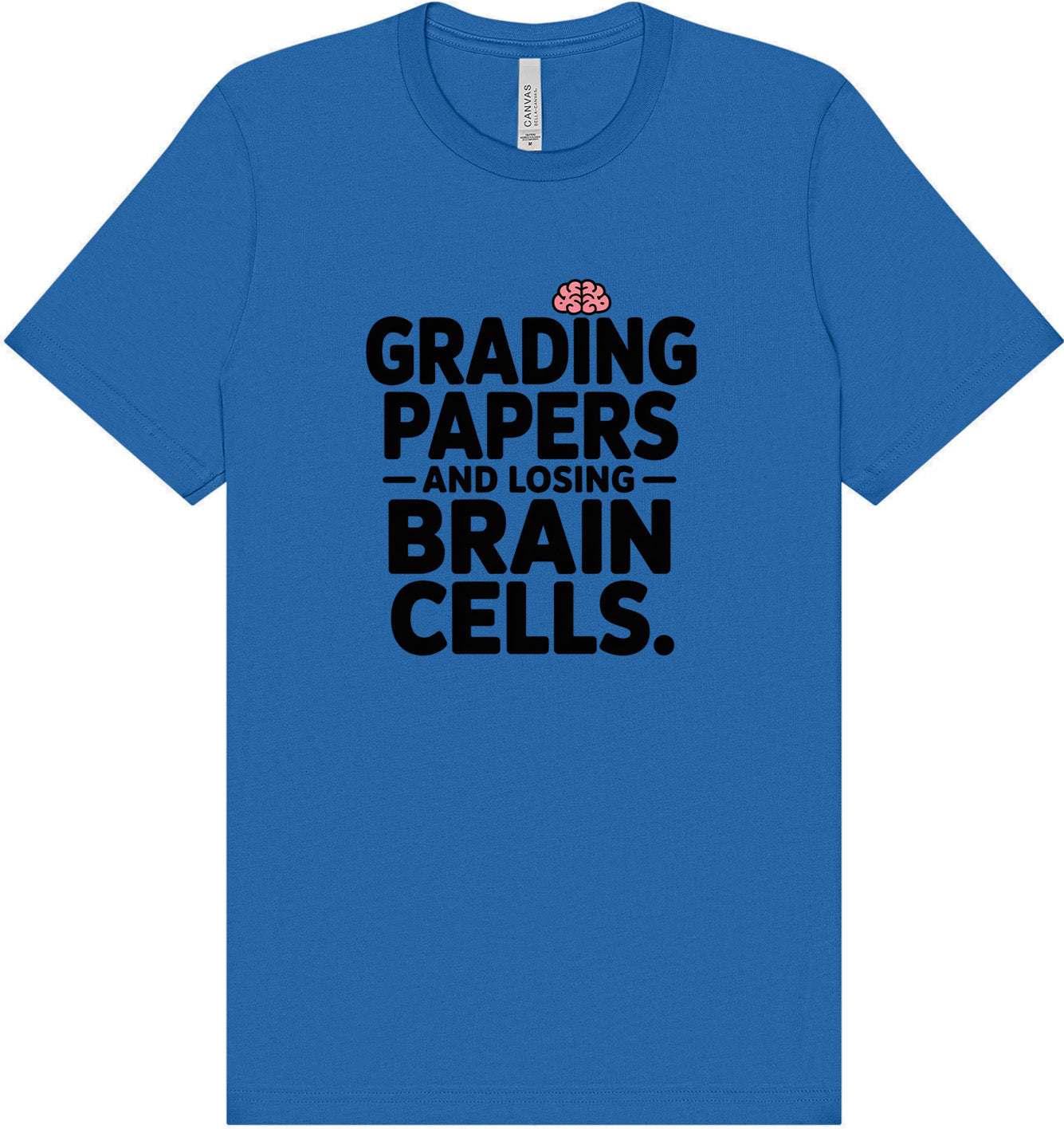 Grading Papers, Losing Brain Cells Adult Bella Canvas Shirt