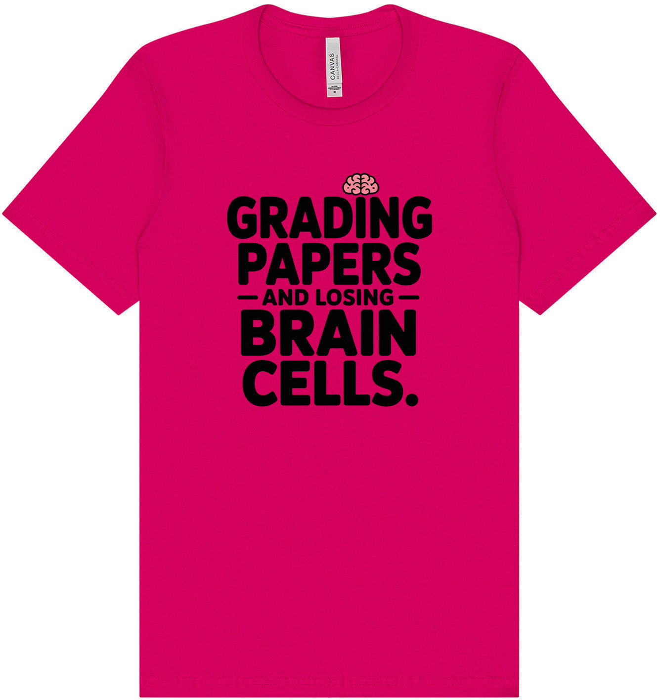 Grading Papers, Losing Brain Cells Adult Bella Canvas Shirt