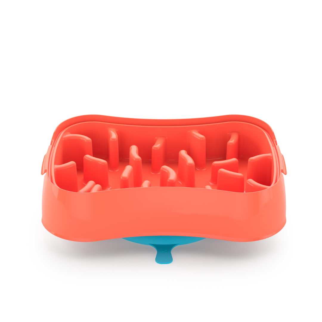 4-In-1 Slow Feeder Dog Bowl