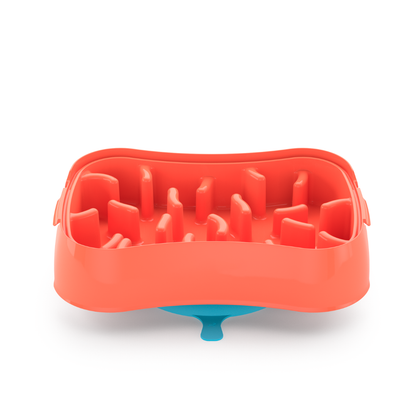 4-In-1 Slow Feeder Dog Bowl