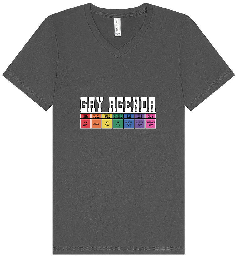 Gay Agenda Unisex V-Neck Shirt