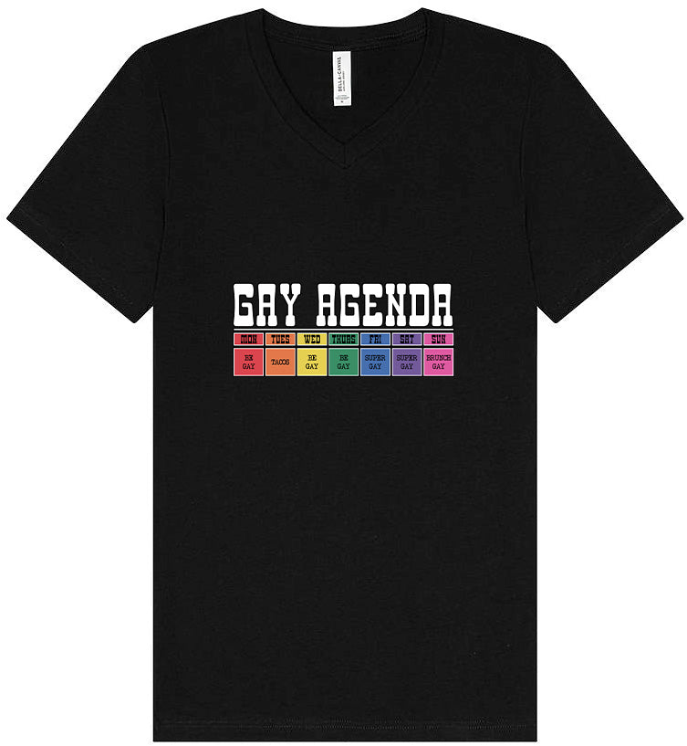 Gay Agenda Unisex V-Neck Shirt
