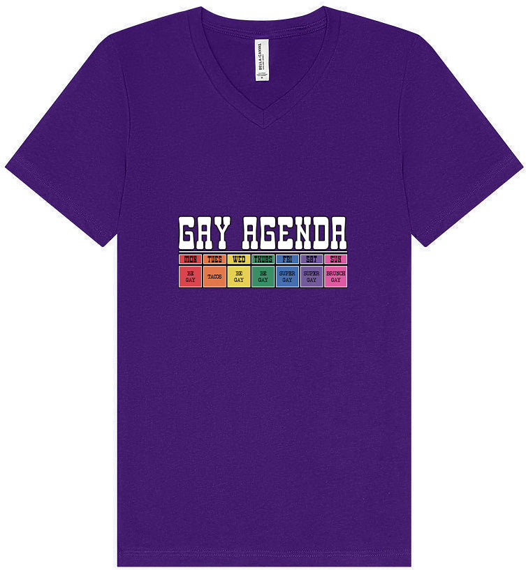 Gay Agenda Unisex V-Neck Shirt