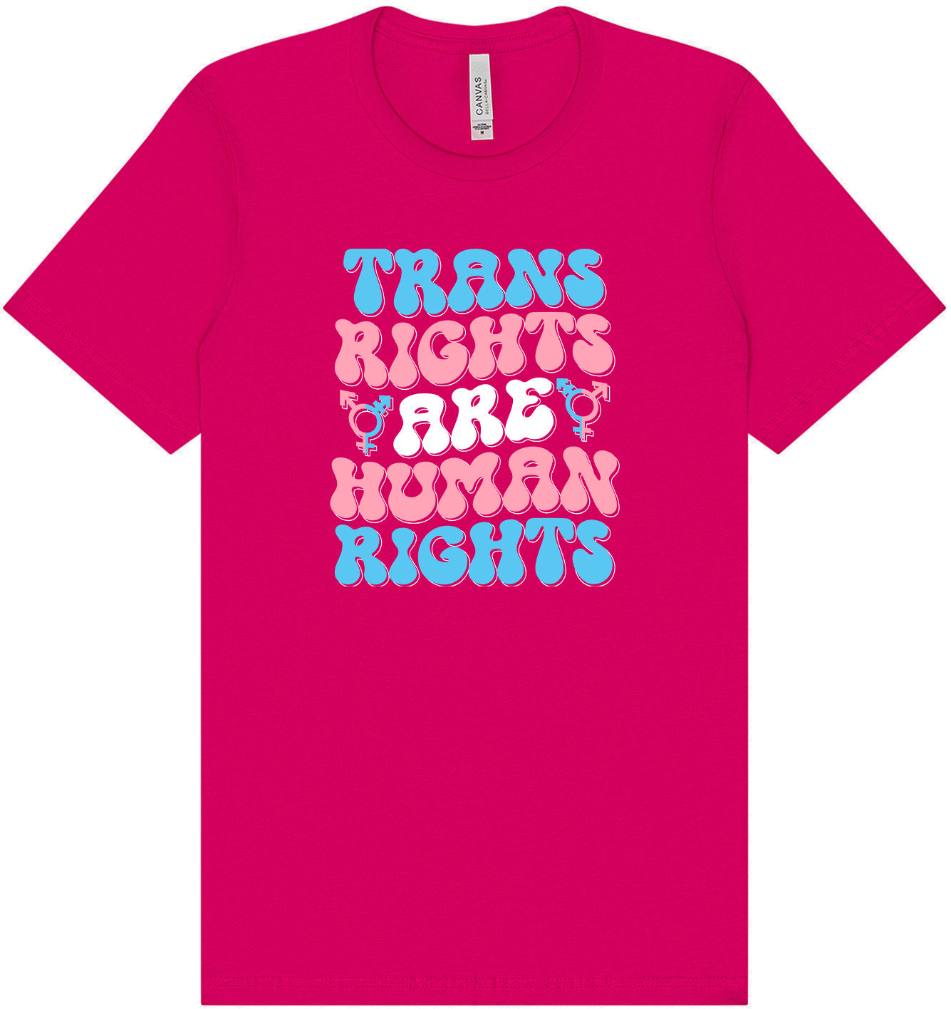 Trans Rights are Human Rights Adult Bella Canvas Shirt