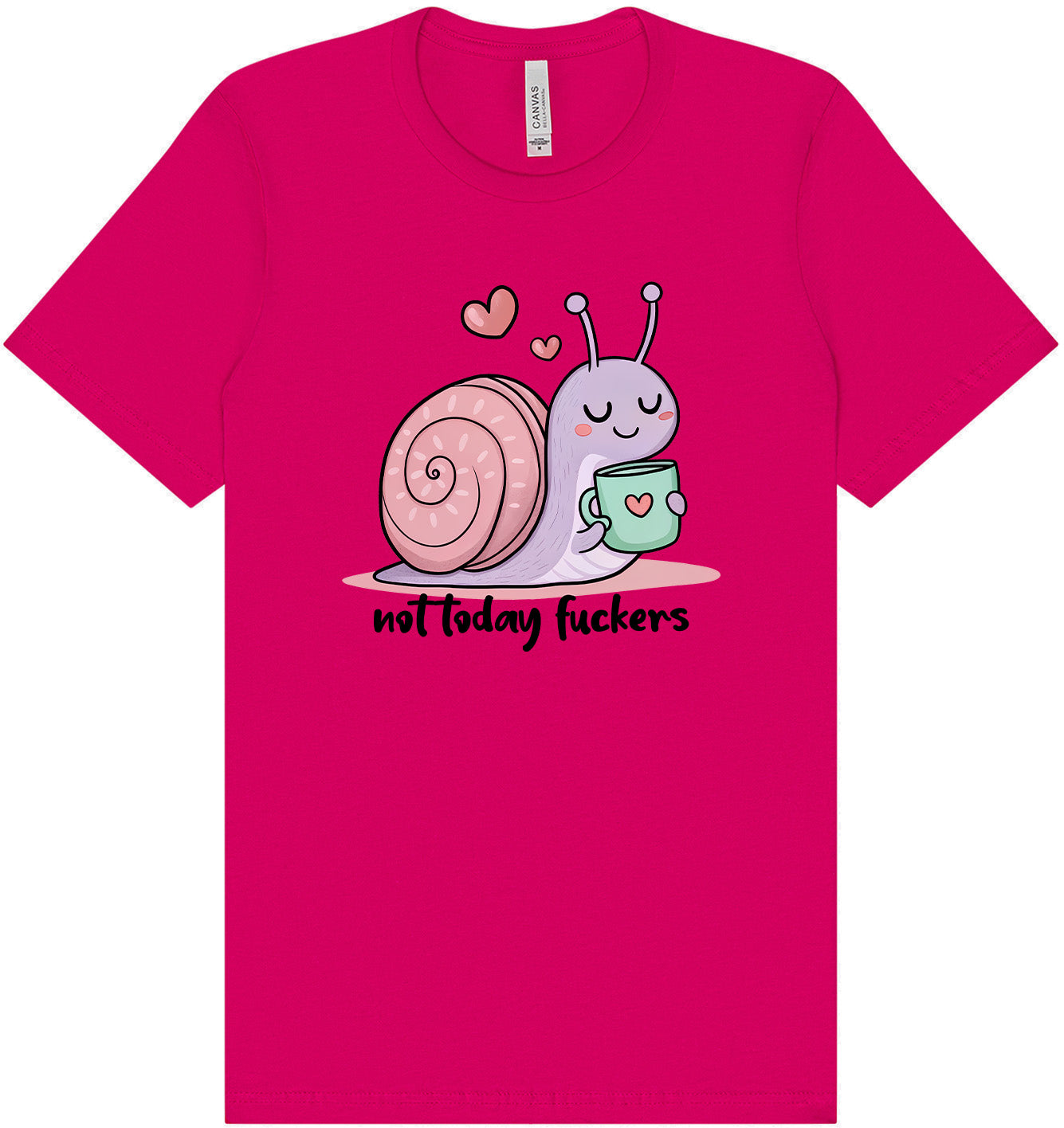 Not Today Snail Adult Bella Canvas Shirt