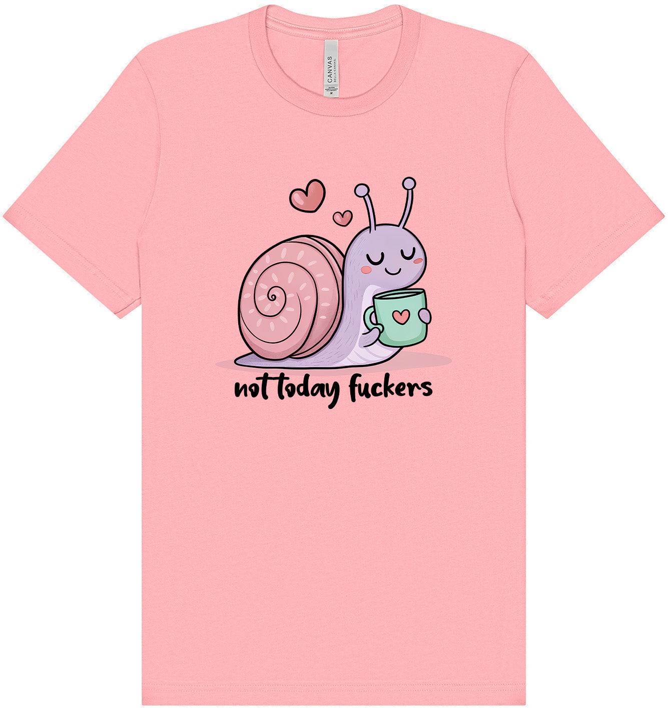 Not Today Snail Adult Bella Canvas Shirt