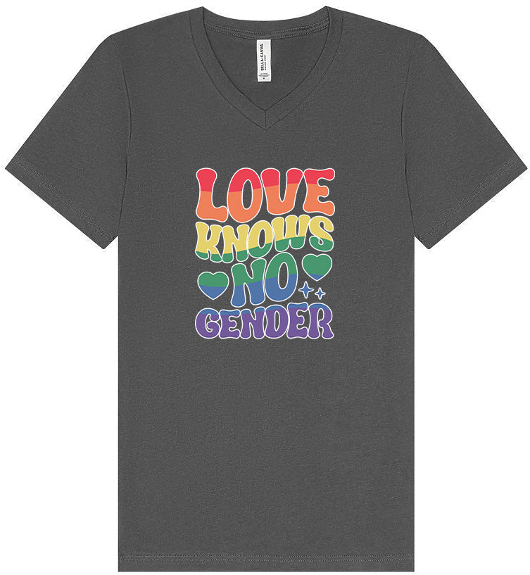 Love Knows No Gender Unisex V-Neck Shirt
