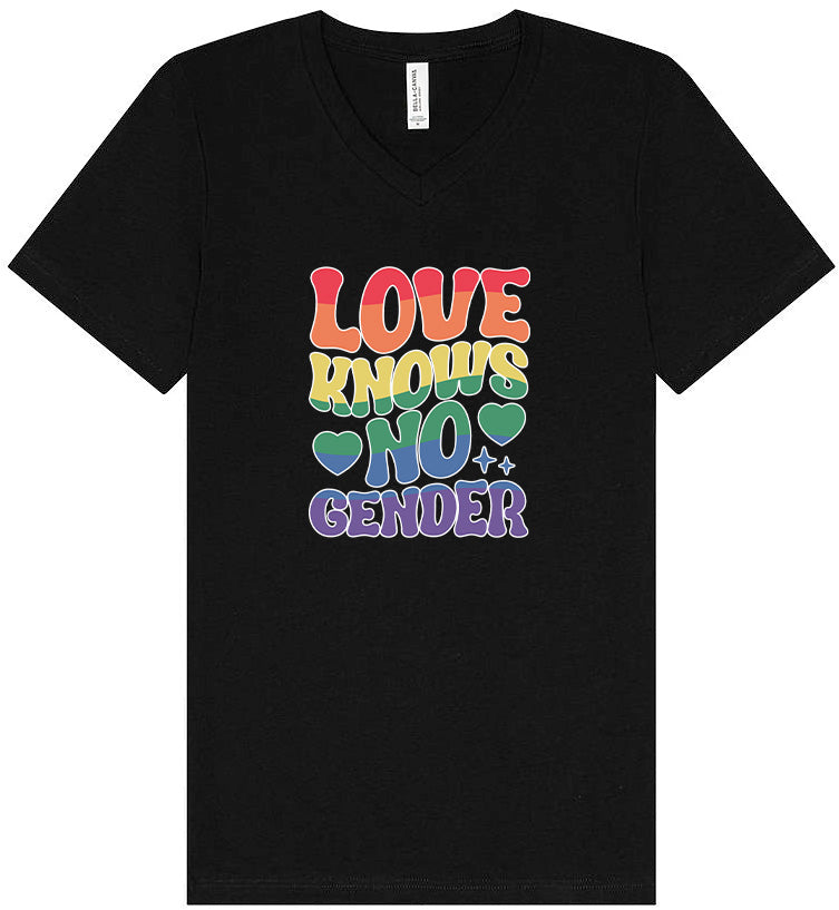 Love Knows No Gender Unisex V-Neck Shirt
