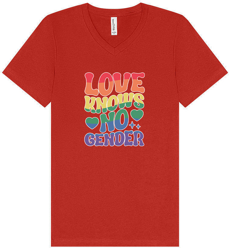 Love Knows No Gender Unisex V-Neck Shirt