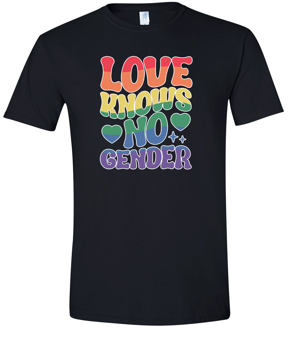 Love Knows No Gender Adult Gildan Soft Shirt