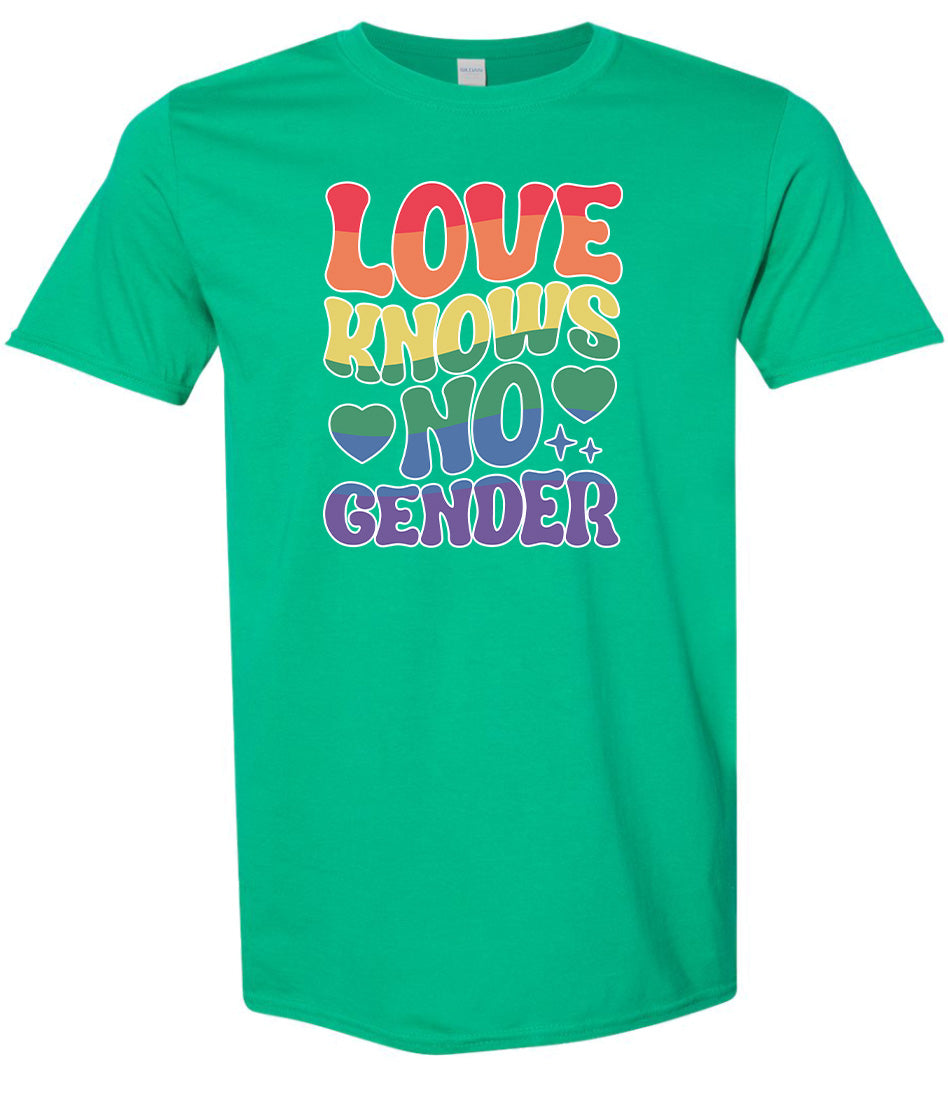 Love Knows No Gender Adult Gildan Soft Shirt