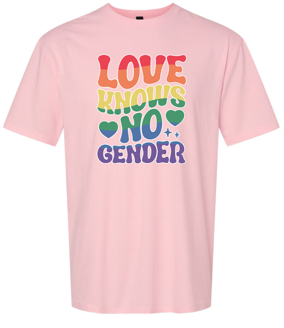 Love Knows No Gender Adult Gildan Soft Shirt