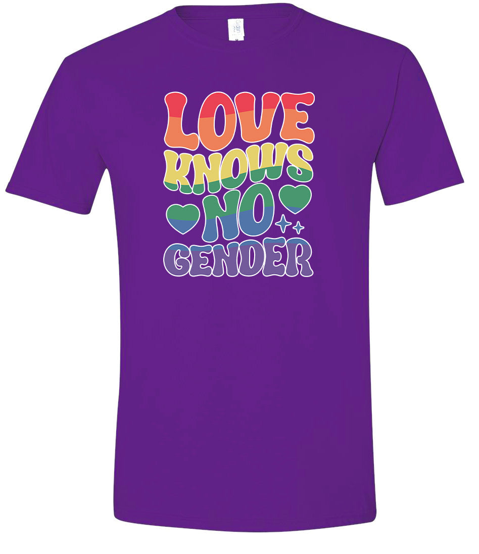Love Knows No Gender Adult Gildan Soft Shirt