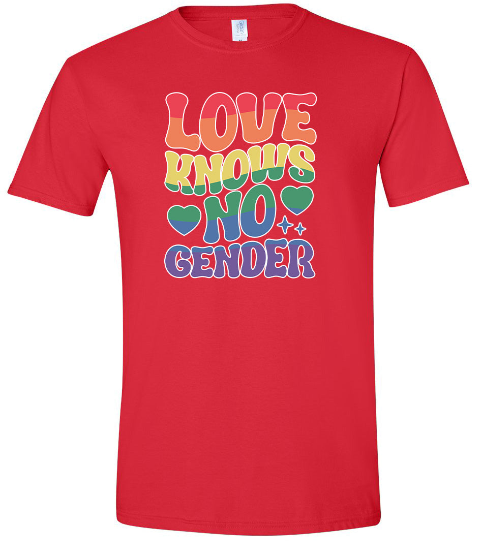 Love Knows No Gender Adult Gildan Soft Shirt