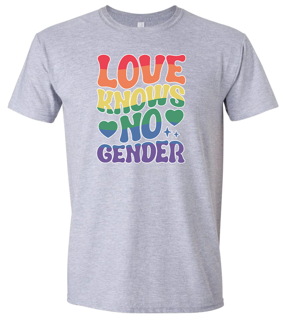 Love Knows No Gender Adult Gildan Soft Shirt