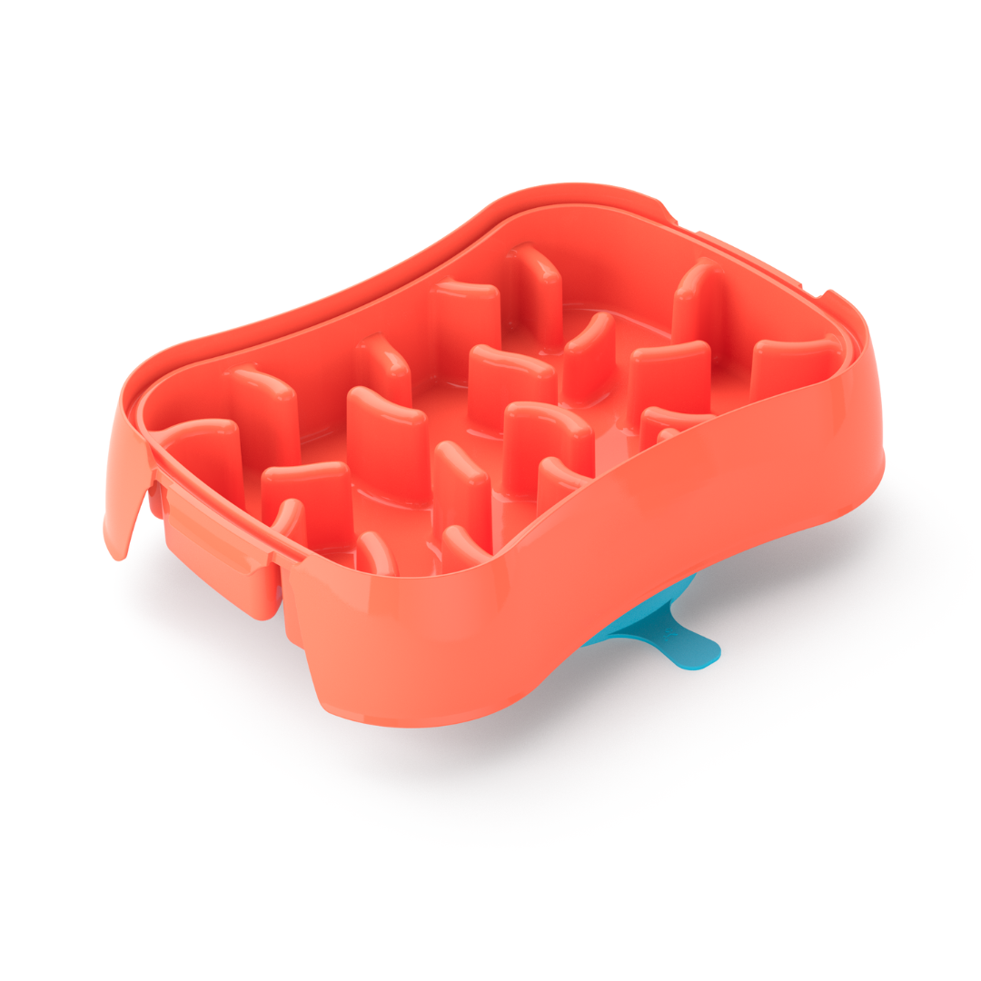 4-In-1 Slow Feeder Dog Bowl