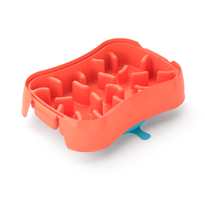 4-In-1 Slow Feeder Dog Bowl