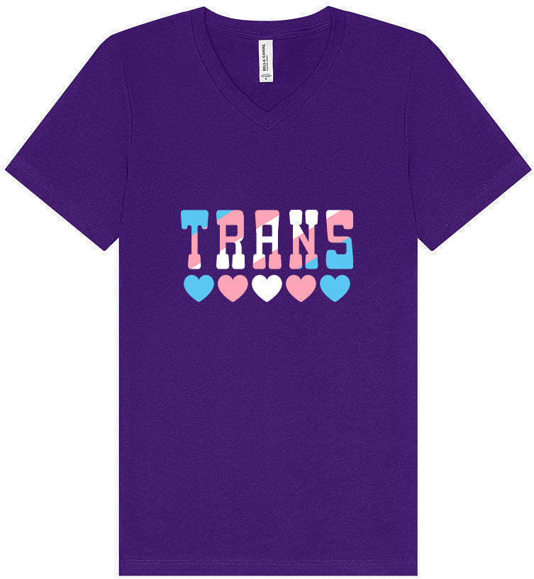 Trans Unisex V-Neck Shirt