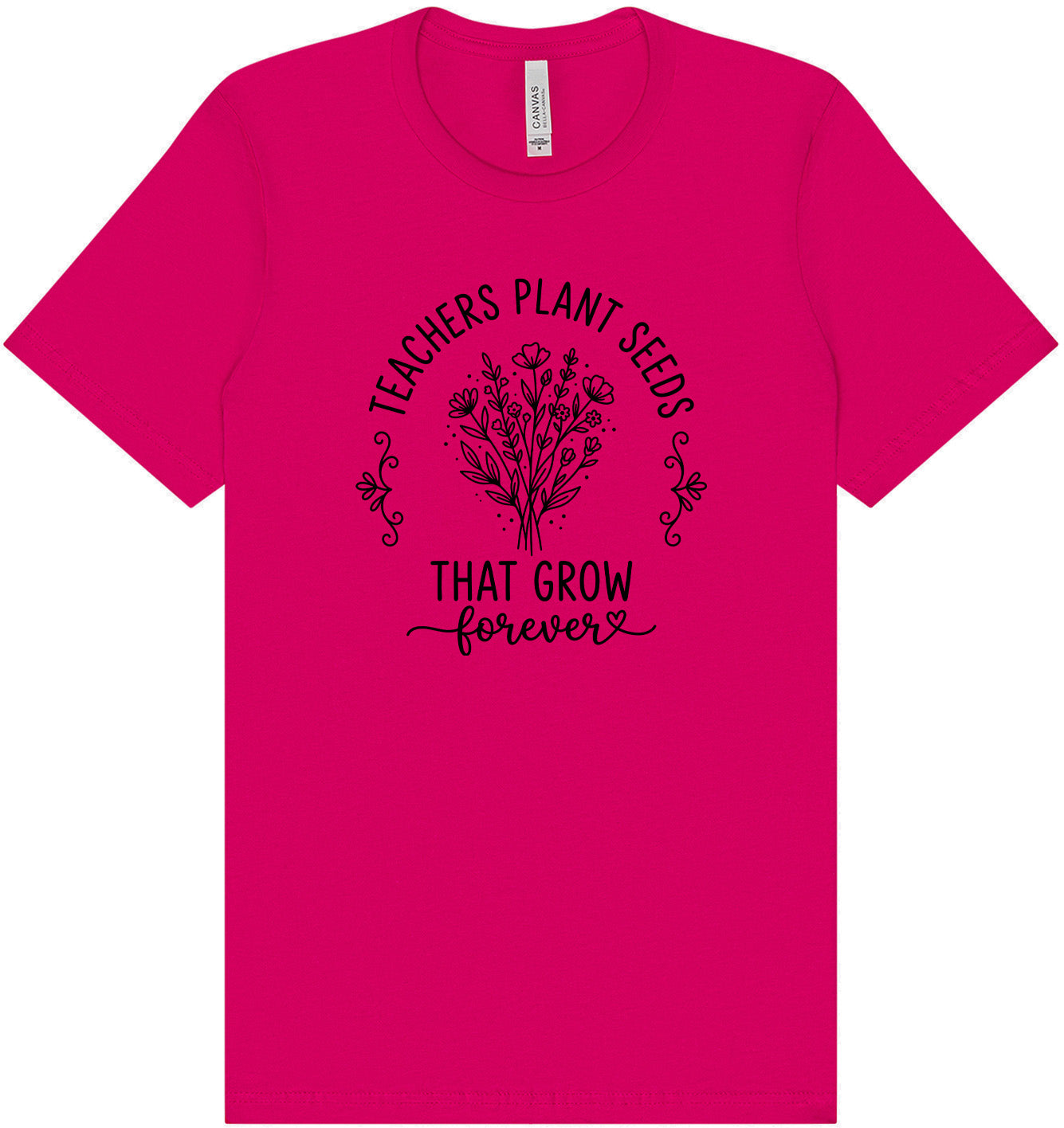 Teachers Plant Seeds Adult Bella Canvas Shirt