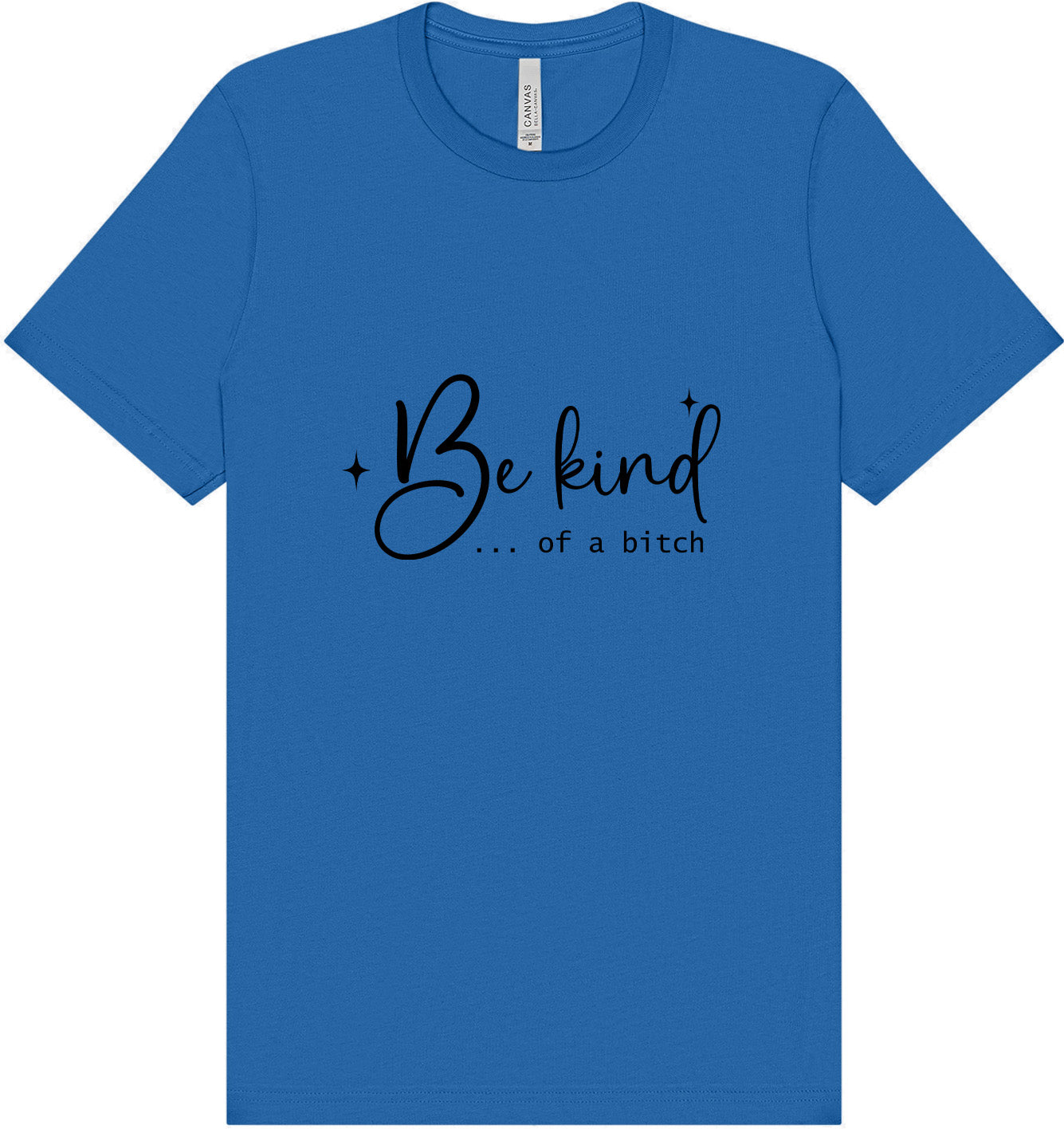Be Kind of a Bitch Adult Bella Canvas Shirt